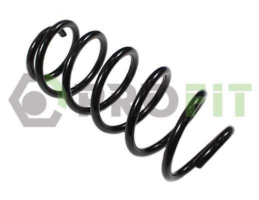 Ресора ходової частини   2010-2067   PROFIT