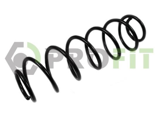 Пружина ходовой части   2010-2119   PROFIT