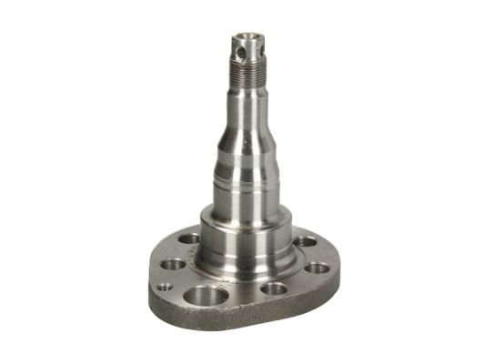 Шийка осі, підвіска коліс, BTA H5W028BTA Шийка осі, підвіска коліс, BTA H5W028BTA