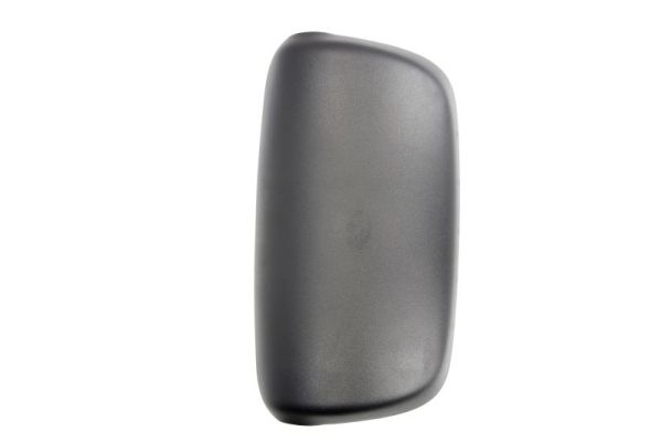 Зовнішнє дзеркало DAF-MR-019 PACOL #1