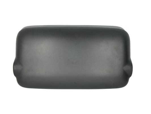 Зовнішнє дзеркало MAN-MR-029 PACOL #1