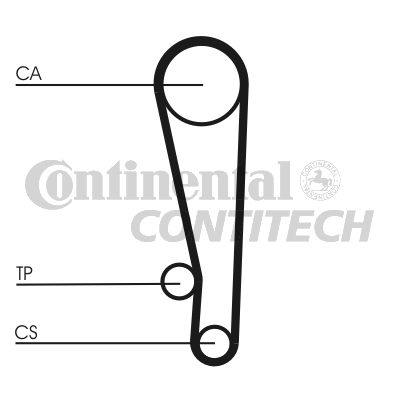 Зубчастий ремінь   CT1013   CONTINENTAL CTAM BR