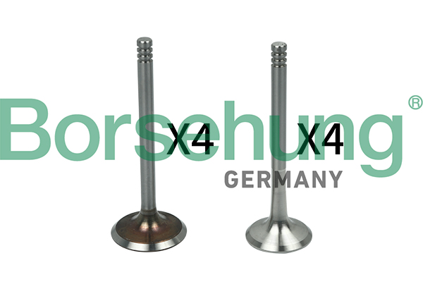 Клапан, Borsehung B18144 Клапан, Borsehung B18144