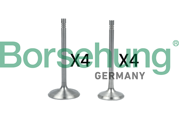 Клапан, Borsehung B18146 Клапан, Borsehung B18146