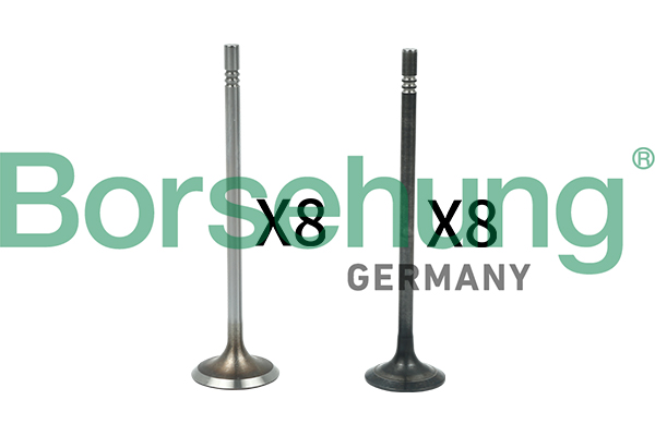 Клапан, Borsehung B18631 Клапан, Borsehung B18631