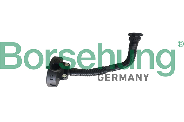 Клапан, система продування картера, Borsehung B19055 Клапан, система продування картера, Borsehung B19055