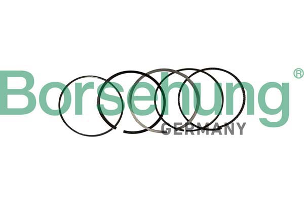 Комплект поршневих кілець   B10369   Borsehung