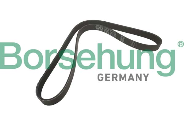 Натяжний пристрій, клиновий ремінь, Borsehung B12356 Натяжний пристрій, клиновий ремінь, Borsehung B12356