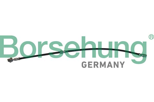 Тормозной шланг   B10952   Borsehung