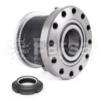 Комплект подшипника ступицы колеса   F 300005   Fersa Bearings