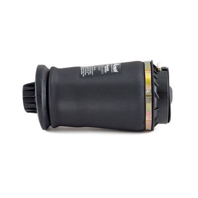 Пневморесора, ходова частина A-2596 Arnott #4