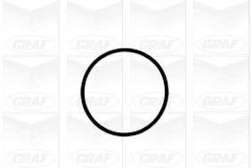 Насос охолоджувальної рідини, охолодження двигуна PA1041 GRAF #1