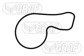 Водяной насос, охлаждение двигателя PA1062 GRAF #1