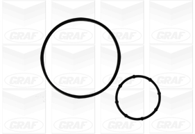 Водяной насос, охлаждение двигателя PA1078 GRAF #1