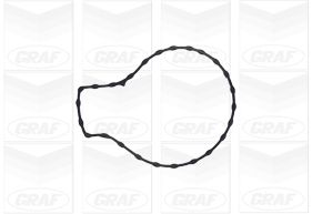 Насос охолоджувальної рідини, охолодження двигуна PA1134 GRAF #1