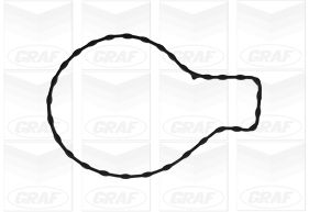 Водяной насос, охлаждение двигателя PA1286 GRAF #1