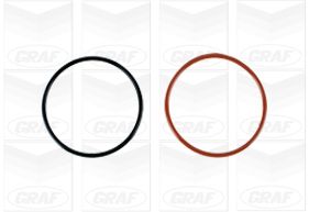 Водяной насос, охлаждение двигателя PA1287 GRAF #1