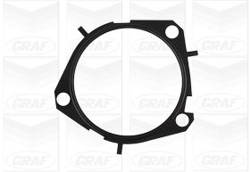 Насос охолоджувальної рідини, охолодження двигуна PA1352 GRAF #1