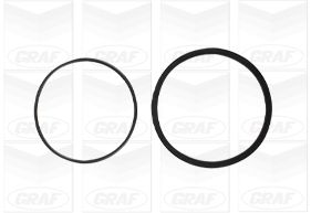 Водяной насос, охлаждение двигателя PA695 GRAF #1