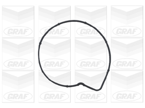 Насос охолоджувальної рідини, охолодження двигуна PA736 GRAF #1