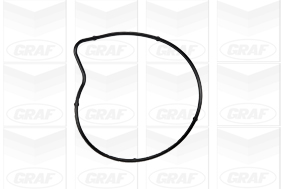 Насос охолоджувальної рідини, охолодження двигуна PA978 GRAF #1