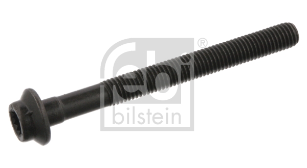 Болт головки цилиндра   02950   FEBI BILSTEIN