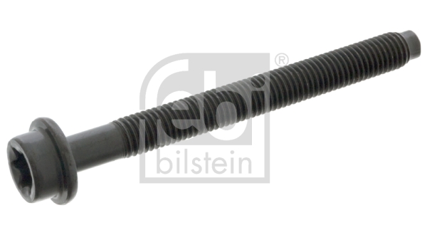 Болт головки цилиндра   05541   FEBI BILSTEIN