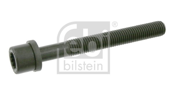 Гвинт голівки циліндра   06666   FEBI BILSTEIN