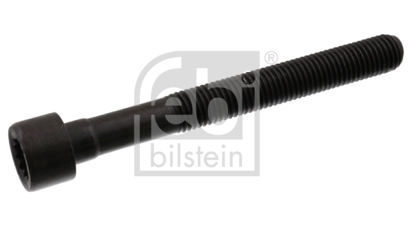 Болт головки цилиндра   07978   FEBI BILSTEIN