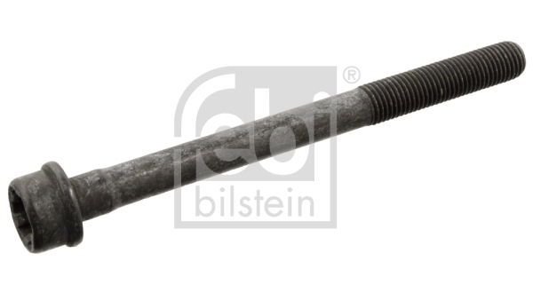 Гвинт голівки циліндра   34696   FEBI BILSTEIN