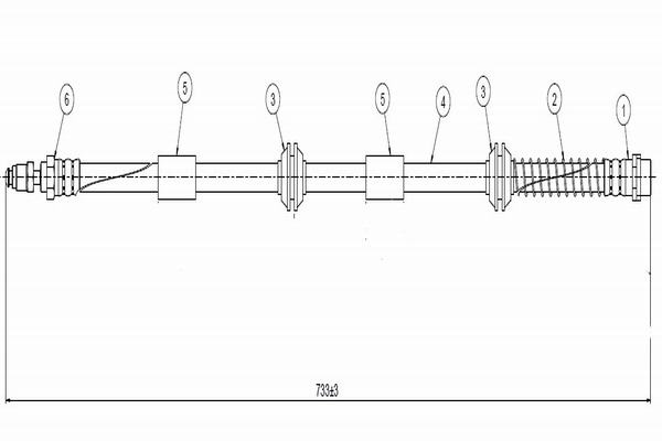 Гальмівний шланг   C900 219A   CAVO