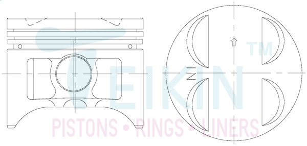 Поршень   38145.050   TEIKIN