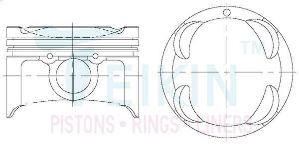 Поршень   42173.STD   TEIKIN