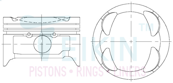 Поршень   42202.050   TEIKIN