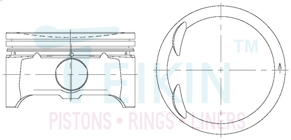 Поршень   42209.050   TEIKIN
