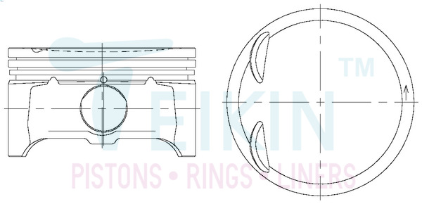 Поршень   42216.050   TEIKIN