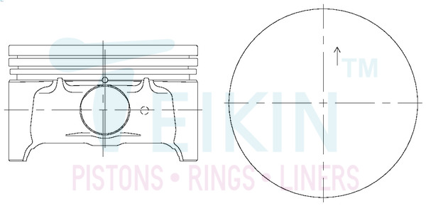 Поршень   42676.STD   TEIKIN