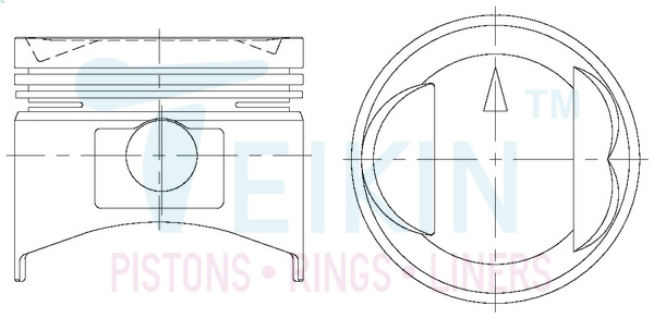 Поршень   43155.050   TEIKIN
