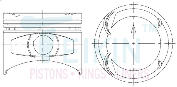 Поршень   43231.050   TEIKIN