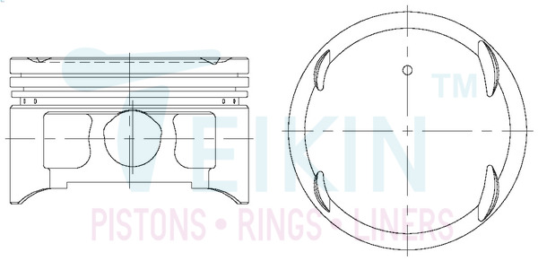 Поршень   43281.100   TEIKIN