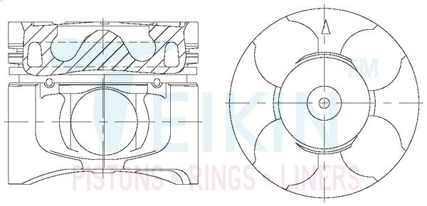 Поршень   43678.050   TEIKIN