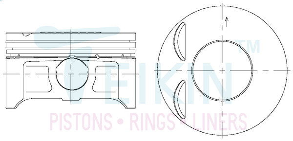 Поршень   43692.050   TEIKIN