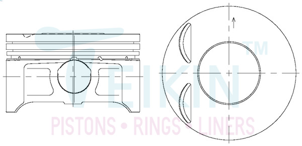 Поршень   43692.STD   TEIKIN
