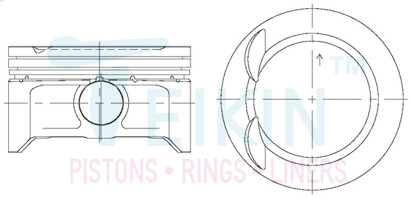 Поршень   43694.050   TEIKIN