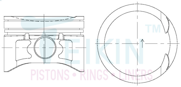 Поршень   44677.050   TEIKIN