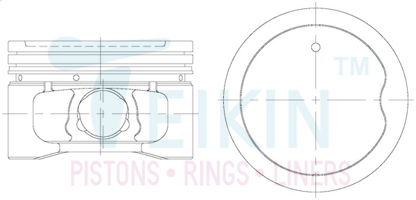 Поршень   46312.050   TEIKIN