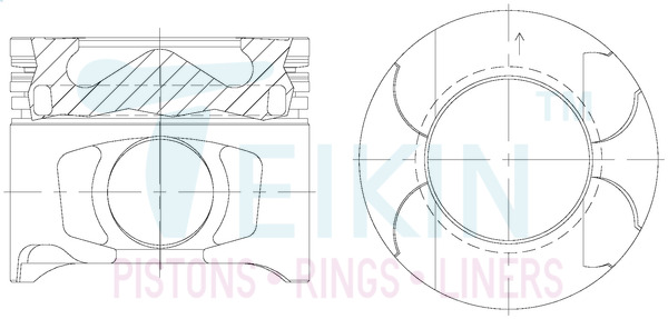 Поршень   46698AG.STD   TEIKIN