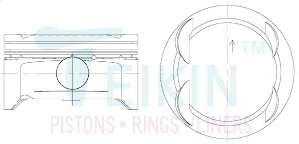 Поршень   51613.100   TEIKIN