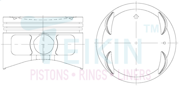 Поршень   57101.STD   TEIKIN