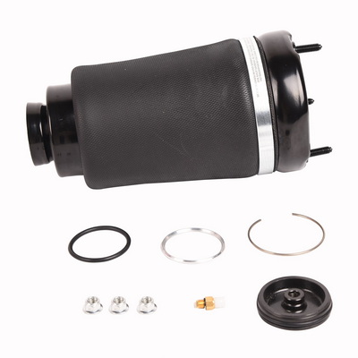 Пневморесора, ходова частина, BAPMIC BF0320240005 Пневморесора, ходова частина, BAPMIC BF0320240005